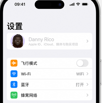 武强appleID维修服务iPhone设置中Apple ID显示为灰色无法使用 