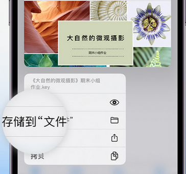 武强apple维修中心分享iPhone文件应用中存储和找到下载文件