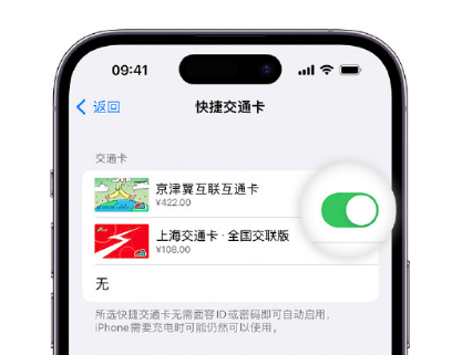 武强apple维修点分享iPhone上更换Apple Pay快捷交通卡手绘卡面 