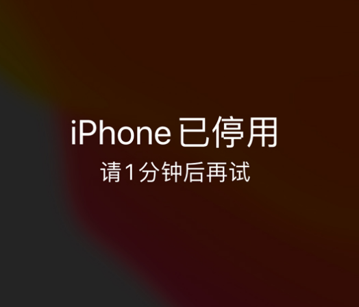 武强苹果手机维修分享:iPhone 显示“不可用”或“已停用”怎么办？还能保留数据吗？ 