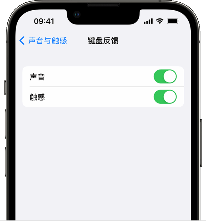 武强苹果14维修店分享如何在 iPhone 14 机型中使用触感键盘 