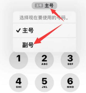 武强苹果14维修店分享iPhone 14 Pro Max使用副卡打电话的方法 