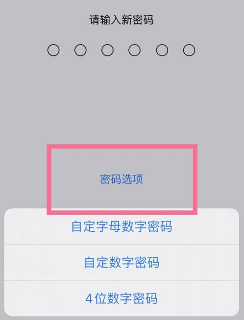 武强苹果14维修分享iPhone 14plus设置密码的方法 