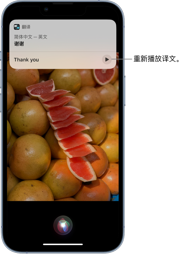 武强苹果14维修分享 iPhone 14 机型中使用 Siri：了解 Siri 能帮你做什么 