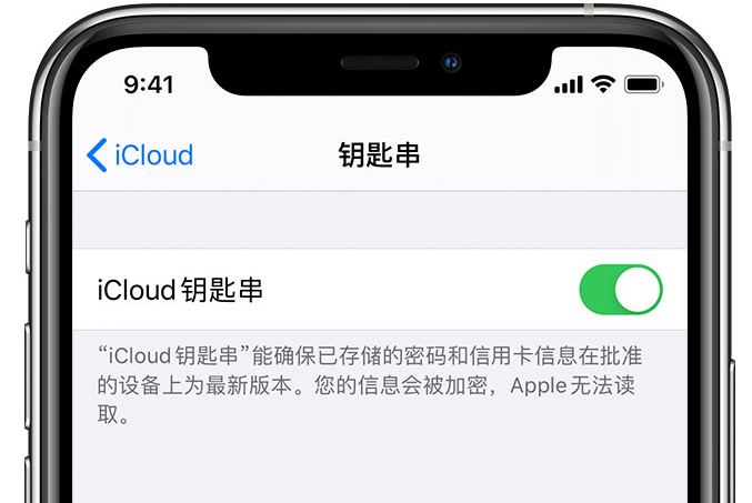 武强苹果手机维修分享在 iPhone 上开启 iCloud 钥匙串之后会储存哪些信息 