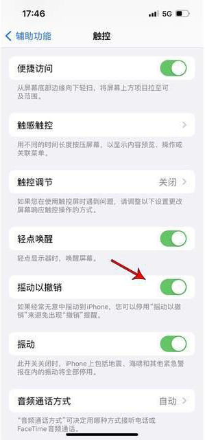 武强苹果手机维修分享iPhone手机如何设置摇一摇删除文字 